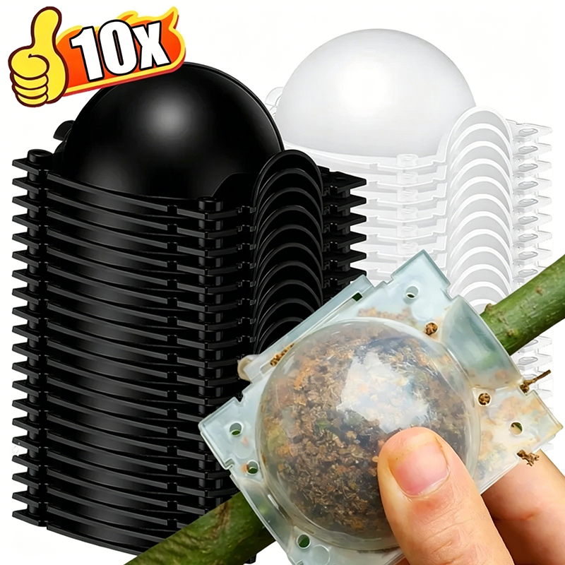 Gardening Tools Organiser - Cápsulas de Enraizamento de Plantas, Bolas
