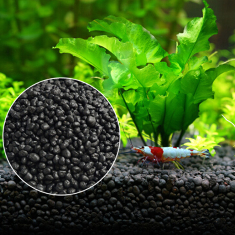 Aquaponics Fish Tank - Solo para plantas do tanque de