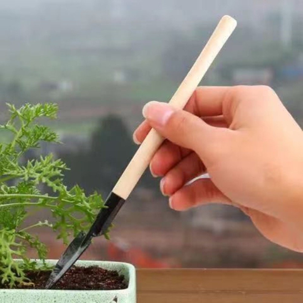 Spade Digging Fork - Conjunto de Ferramentas de Jardinagem Mini