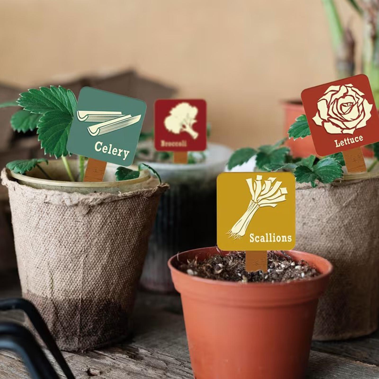 Marcadores de plantas para jar - Garden Row Marker avaliação e preço