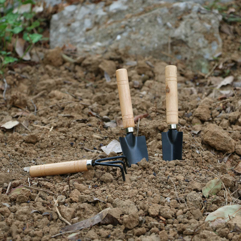 3 pçs/set mini conjunto de fer - Gardening Tools For Weeds avaliação e preço