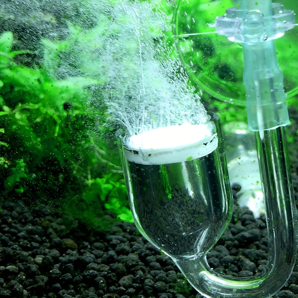 Difusor de atomizador de co2 d - Aquaponics Fish Tank avaliação e preço