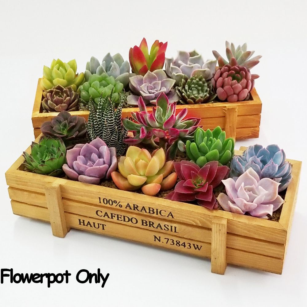 1 pc ferramentas decoração do  - Gardening Tools Organiser avaliação e preço