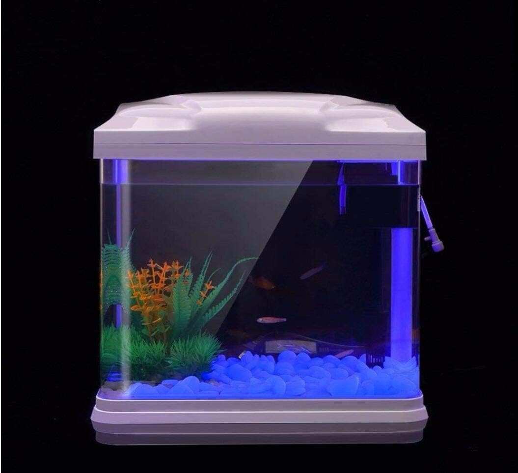 Rochas do tanque de peixes bri - Aquaponics Fish Tank avaliação e preço