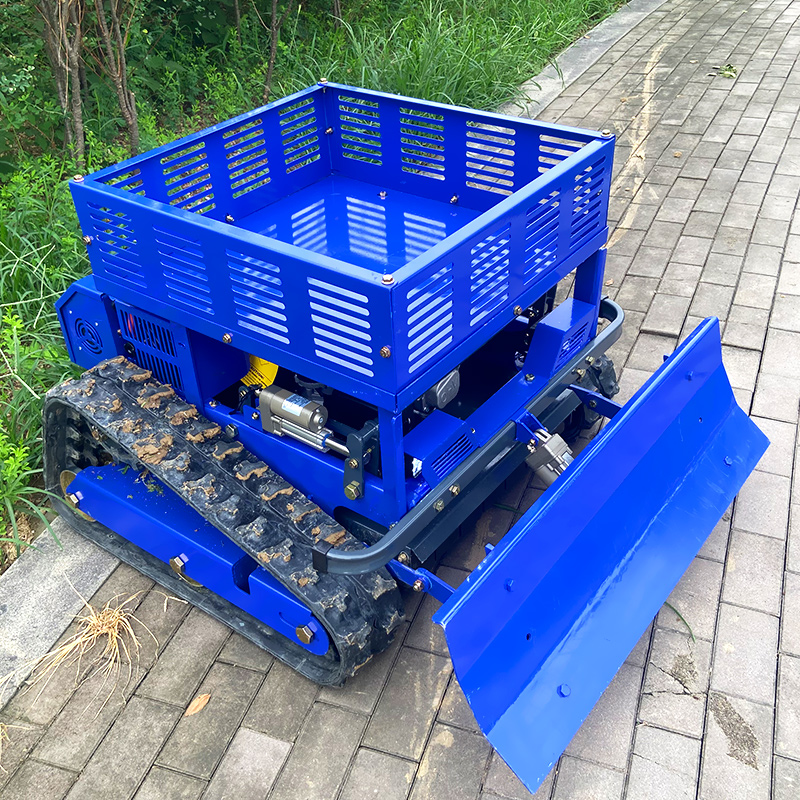 Cortador de Grama RC Personali - Essential Gardening Tools avaliação e preço