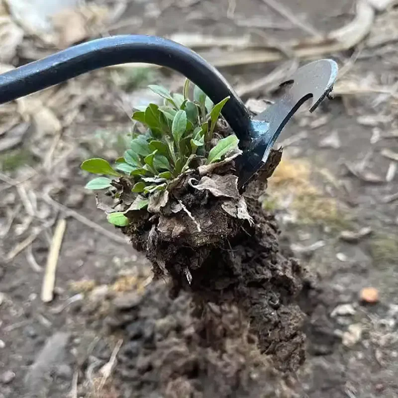 Removedor de Ervas Daninhas de - Gardening Tools For Weeds avaliação e preço