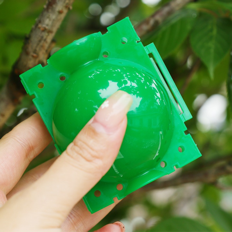 Cápsulas de Enraizamento de Pl - Gardening Tools Organiser avaliação e preço