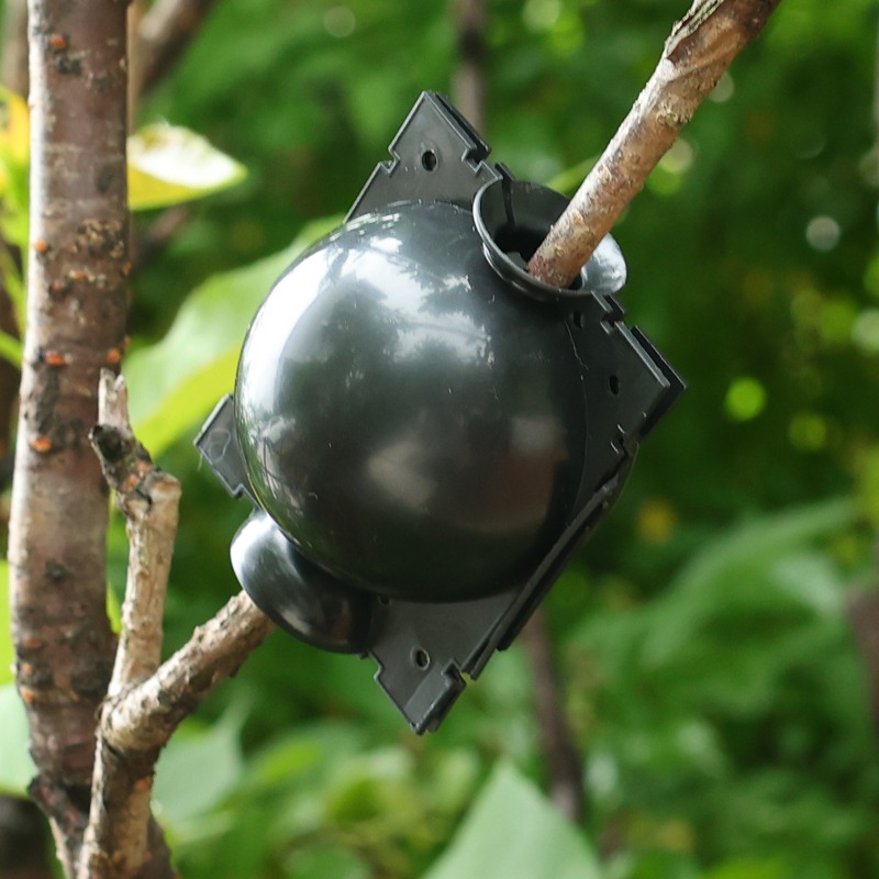 Cápsulas de Enraizamento de Pl - Gardening Tools Organiser avaliação e preço