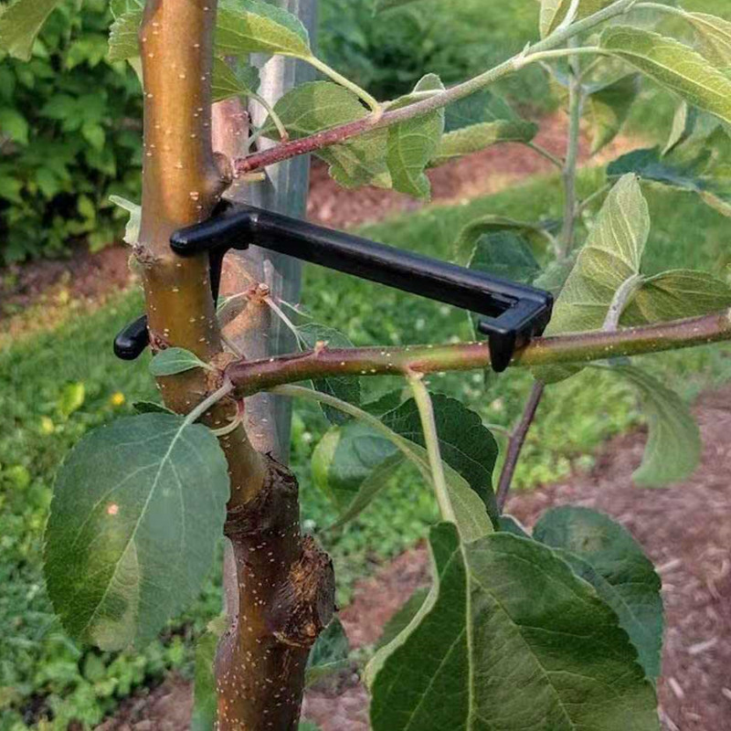 Extrator de galhos de árvores  - Root Watering Spike avaliação e preço