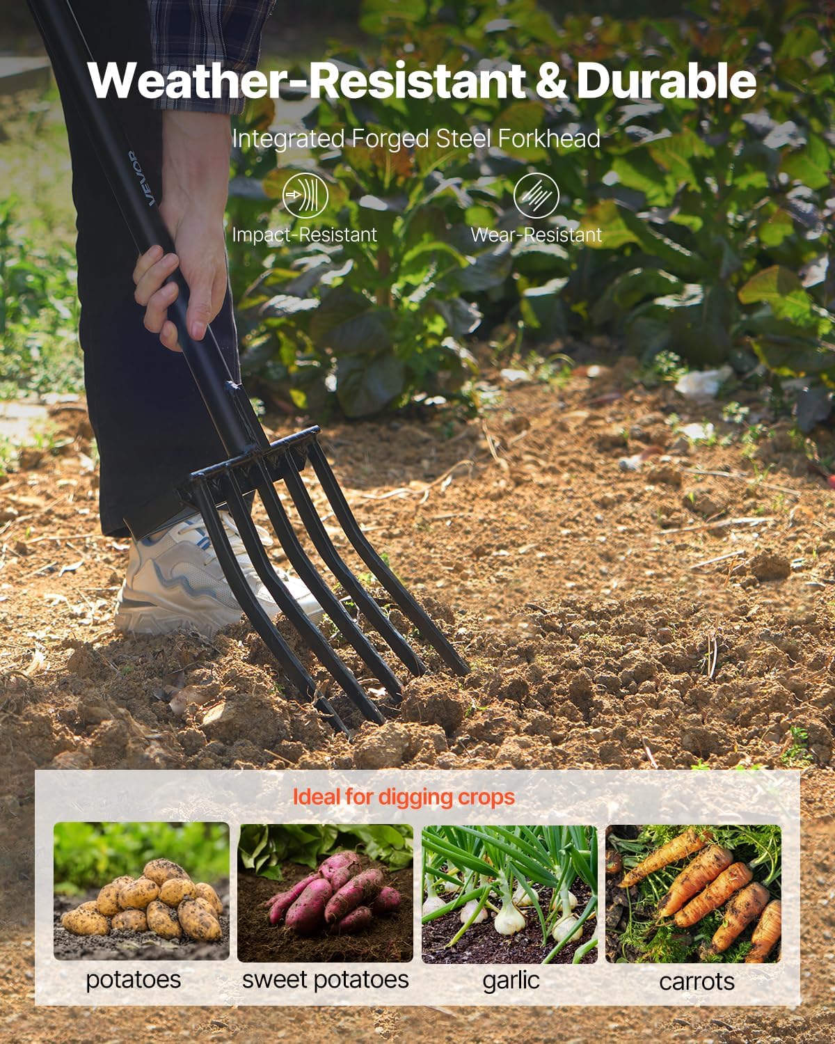 Garfo de Jardim, Garfo de Jard - Spade Digging Fork avaliação e preço