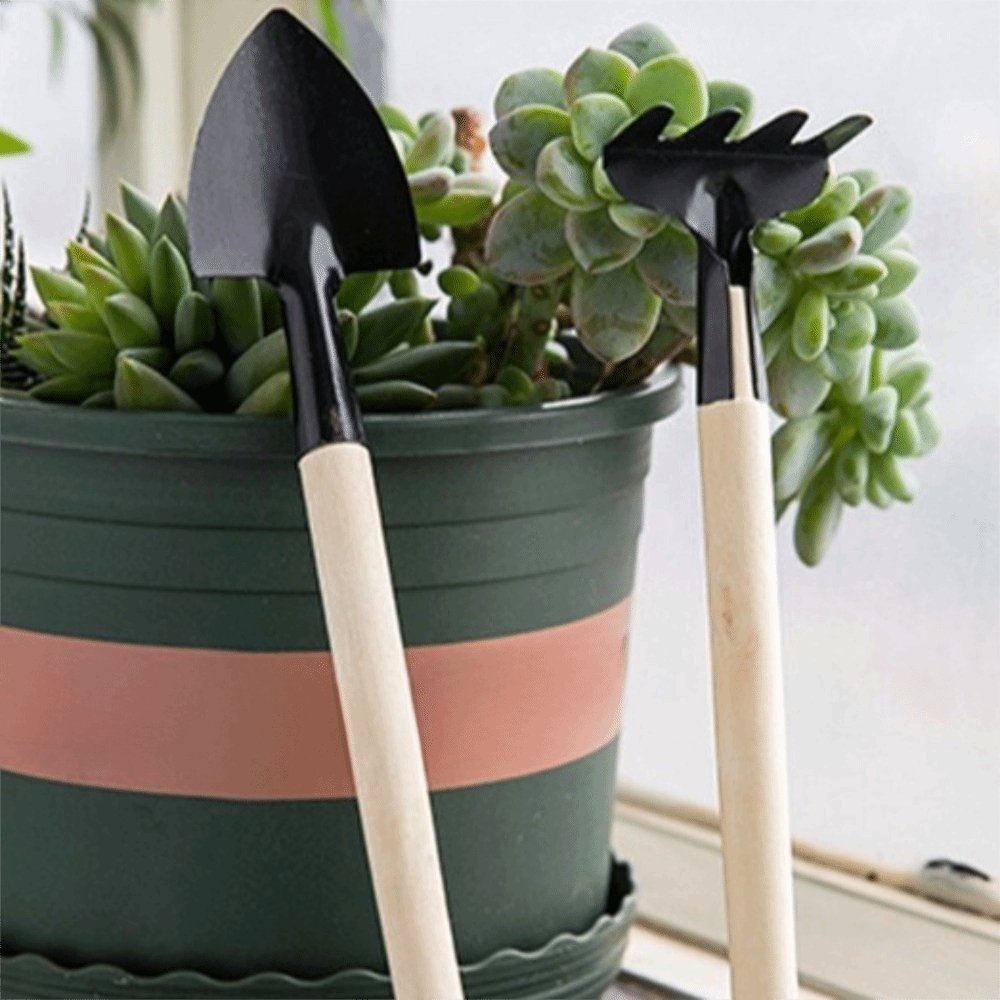 Conjunto de Ferramentas de Jar - Spade Digging Fork avaliação e preço