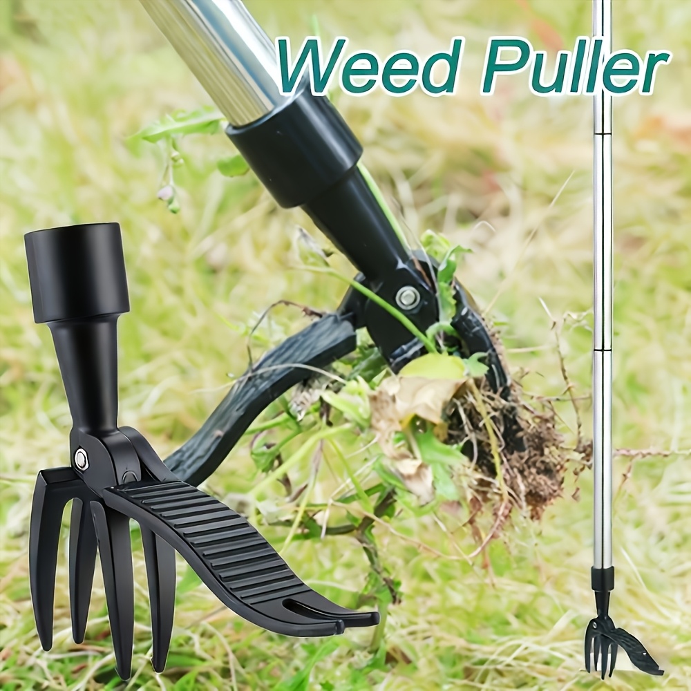 Removedor de ervas daninhas ve - Gardening Tools For Weeds avaliação e preço