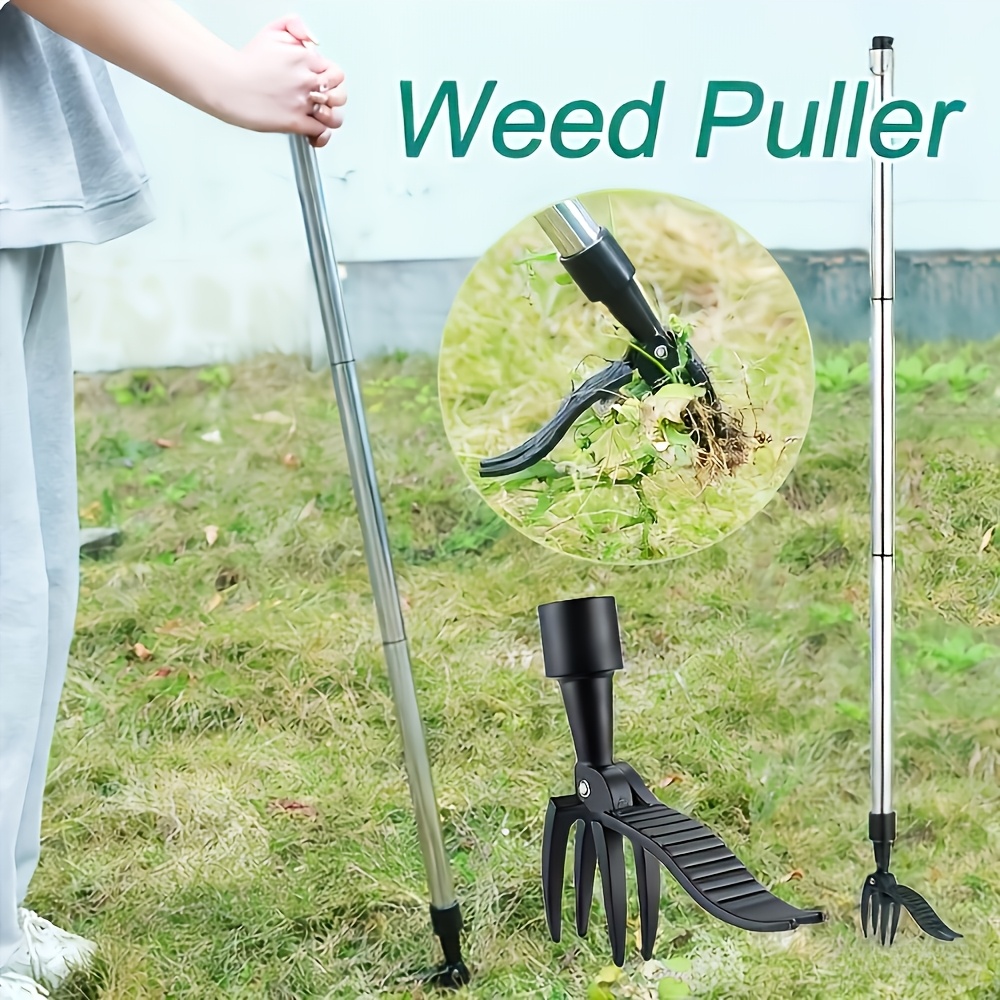 Removedor de ervas daninhas ve - Gardening Tools For Weeds avaliação e preço