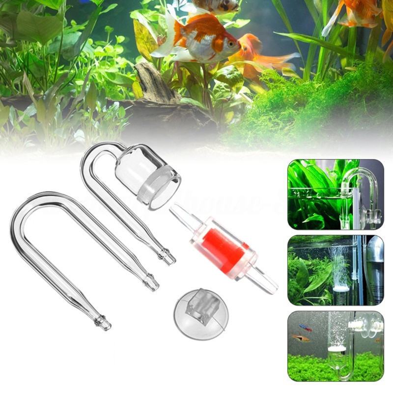 CO2 Difusor para Aquário, DIY  - Aquaponics Fish Tank avaliação e preço