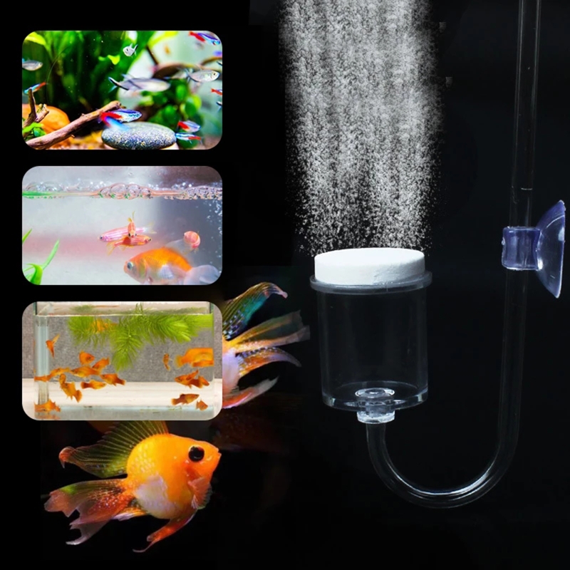 CO2 Difusor para Aquário, DIY  - Aquaponics Fish Tank avaliação e preço